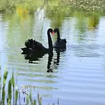 Dom Na Wodzie Mazury Дом отдыха Dzwierzuty