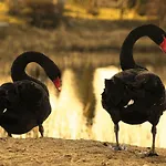 Dom Na Wodzie Mazury Dzwierzuty