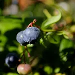 Dom Na Wodzie Mazury *