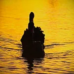Дом отдыха Dom Na Wodzie Mazury *