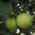 Dom Na Wodzie Mazury *