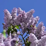 Дом отдыха Dom Na Wodzie Mazury Dzwierzuty