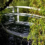 Dom Na Wodzie Mazury Дом отдыха Dzwierzuty