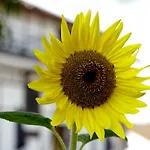 Dom Na Wodzie Mazury Дом отдыха