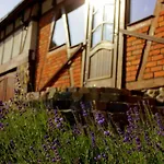 Dom Na Wodzie Mazury * Dzwierzuty