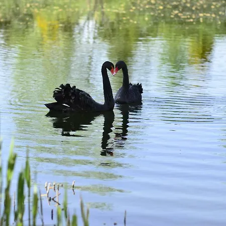 Dom Na Wodzie Mazury Dom wakacyjny Dzwierzuty