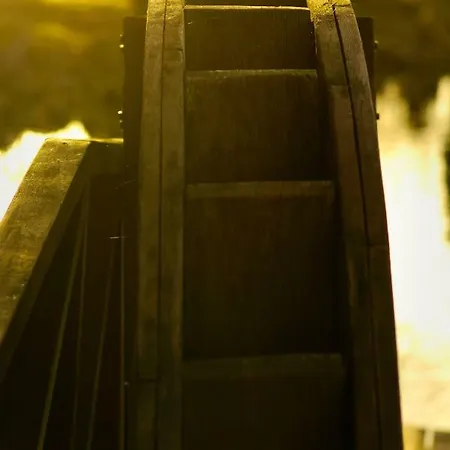 Dom Na Wodzie Mazury Dom wakacyjny Dzwierzuty